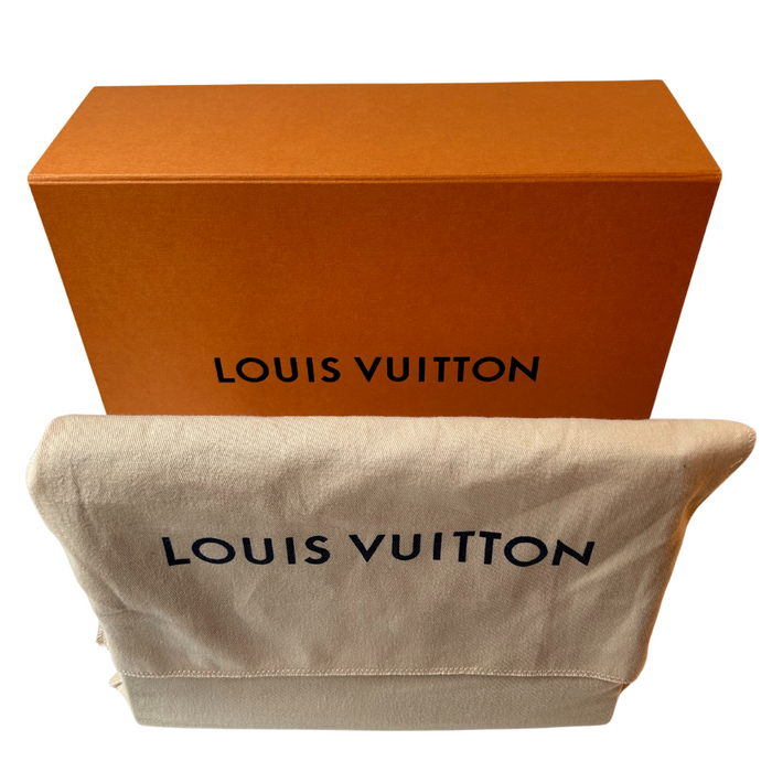 Louis Vuitton pochette Félicie en cuir